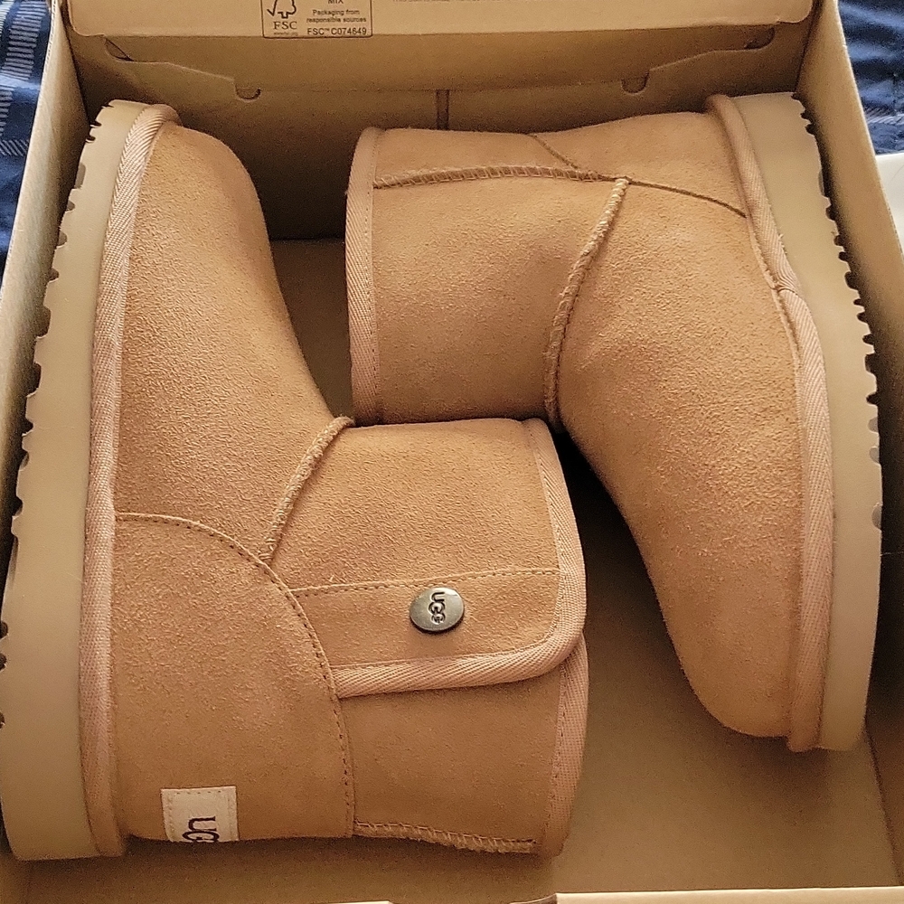 UGG Chestnut Ankle Boots